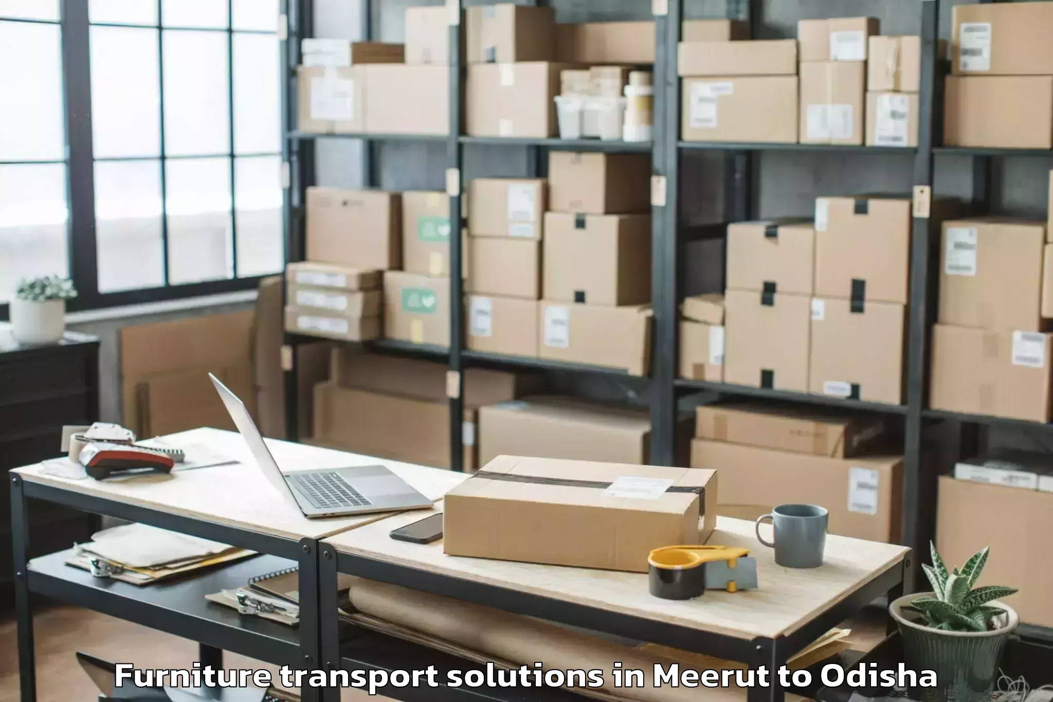 Expert Meerut to Bampada Furniture Transport Solutions